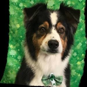 Meet your Posher, Becky